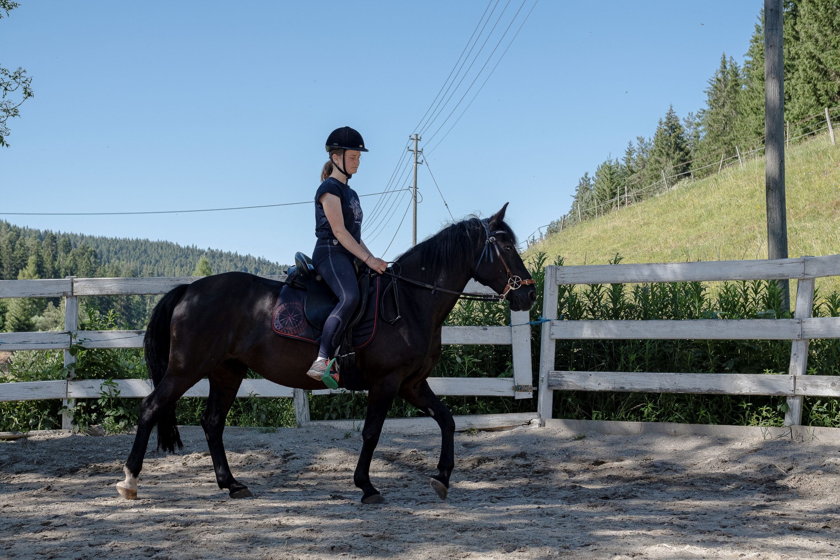 Seelenpferd Reitunterricht Jugendliche Seelenpferd Reitunterricht Jugendliche