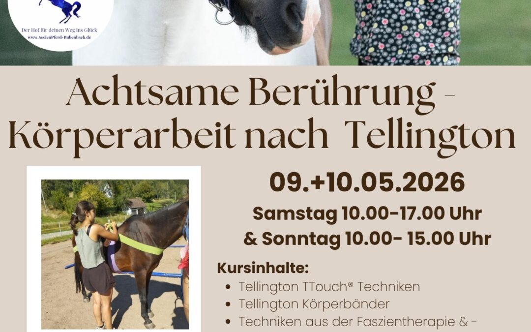 Achtsame Berührung – Körperarbeit nach Tellington