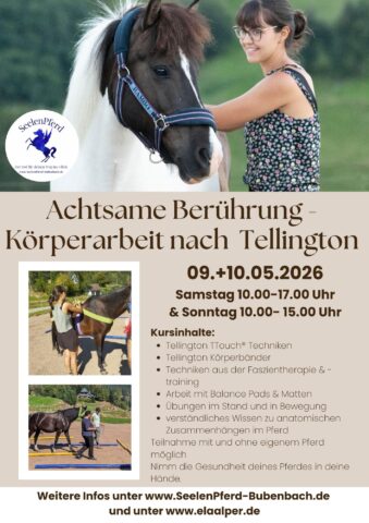 Körperarbeitskurs Tellington 2026 (1)