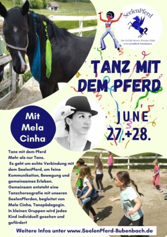 Tanz mit dem Pferd 2026 SeelenPferd