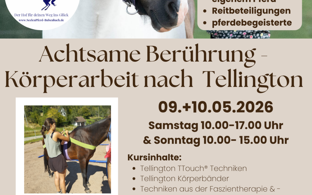 Achtsame Berührung – Körperarbeit nach Tellington