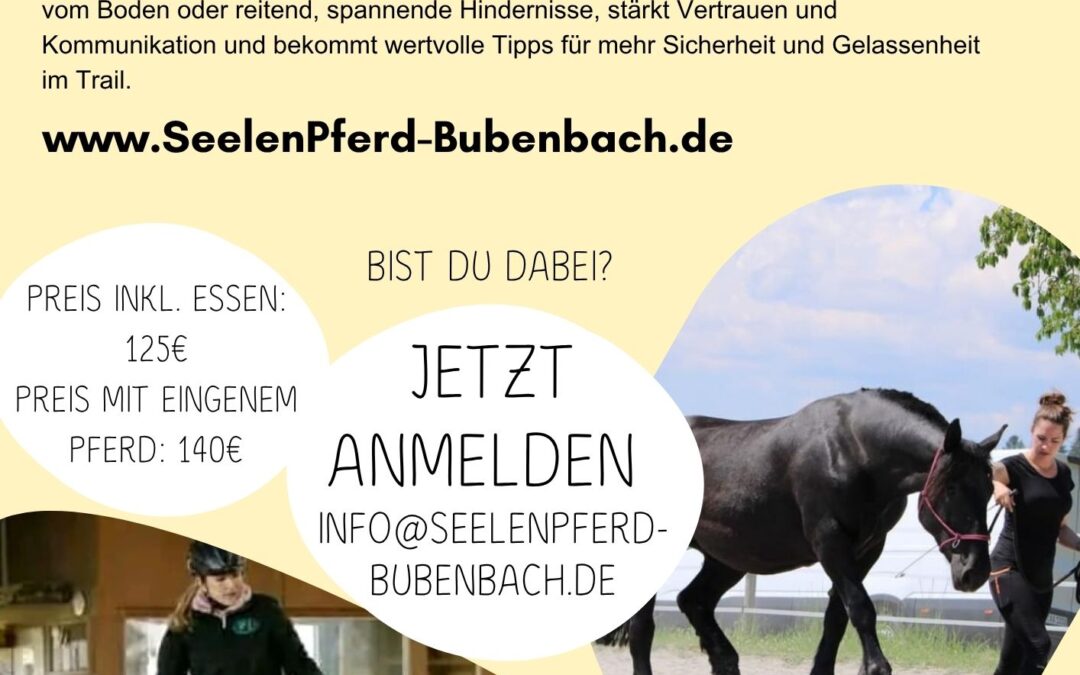 Trailkurs mit Antje Krüger AK-Westernriding // Double-A-Team